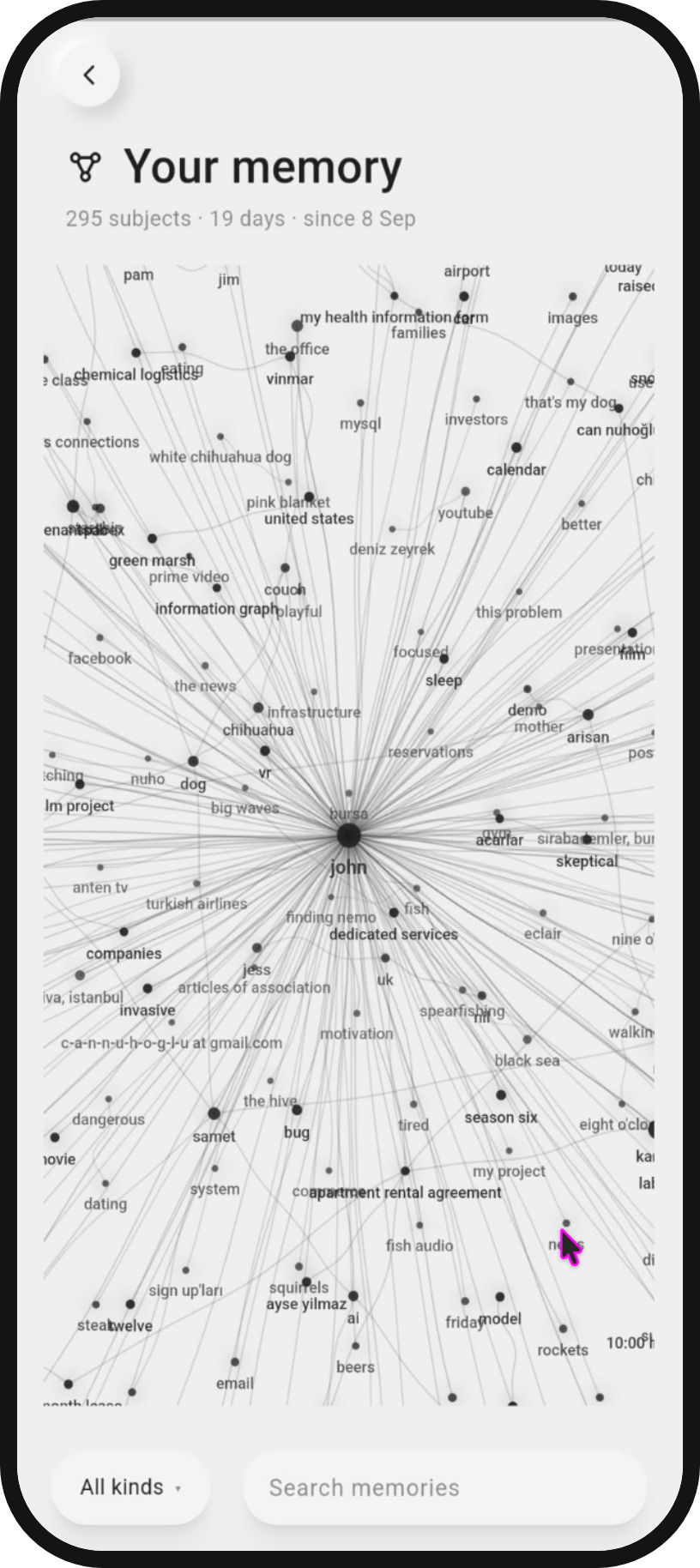 The memory screen: 295 subjects over 19 days, drawn as a map.